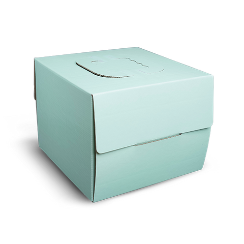 Cake Box With Handle