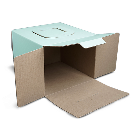 Cake Box With Handle