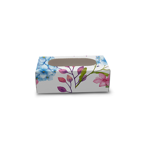 Cakesicle Box for 1