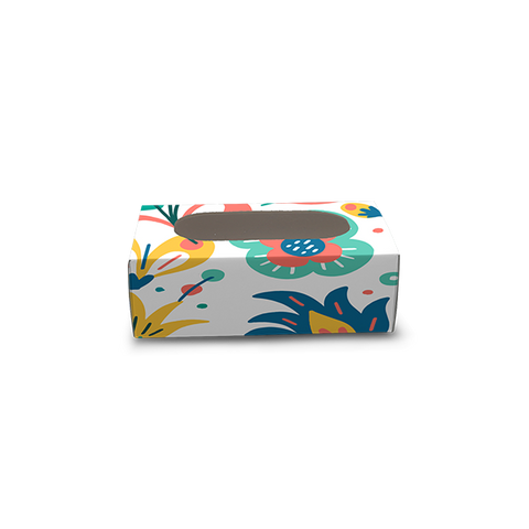 Cakesicle Box for 1