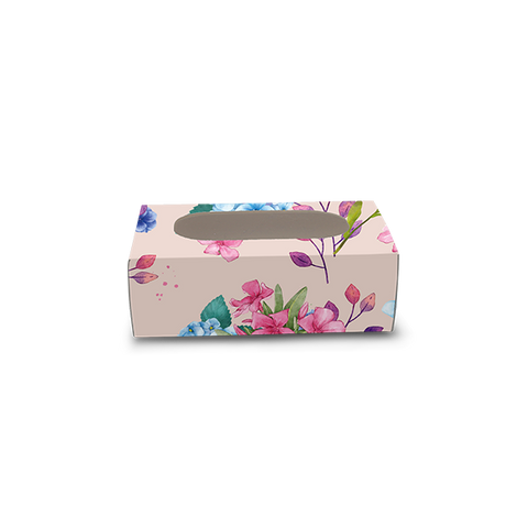 Cakesicle Box for 1