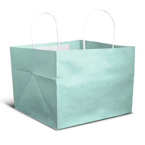 Cake Bag for 2kg