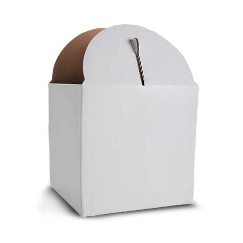 Tall Cake Box