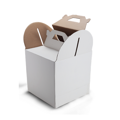 Tall Cake Box