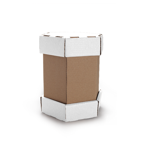 Hexagonal Cake Box