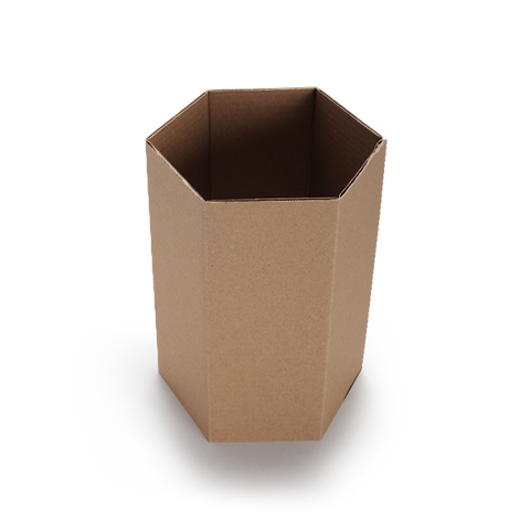 Hexagonal Cake Box