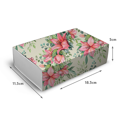 Macaron Box for 10