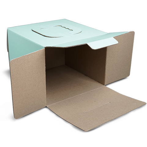 Cake Box With Handle