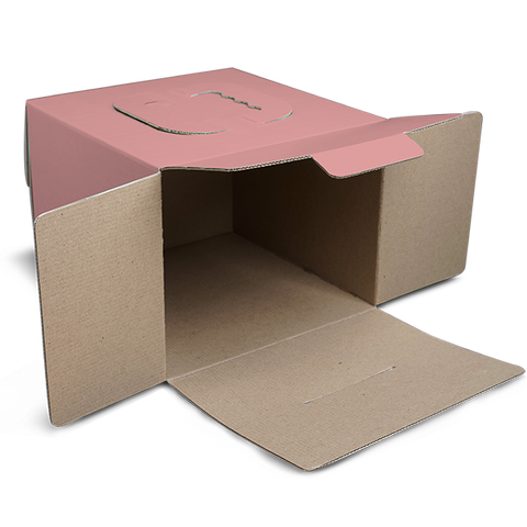 Cake Box With Handle