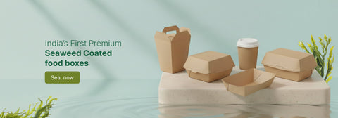 Seaweed Packaging – The Future of Sustainable Innovation