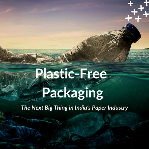 Plastic-Free Packaging: The Next Big Thing in India’s Paper Industry