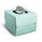 Corrugated Cake Box With Handle - 10x10x8" Mint