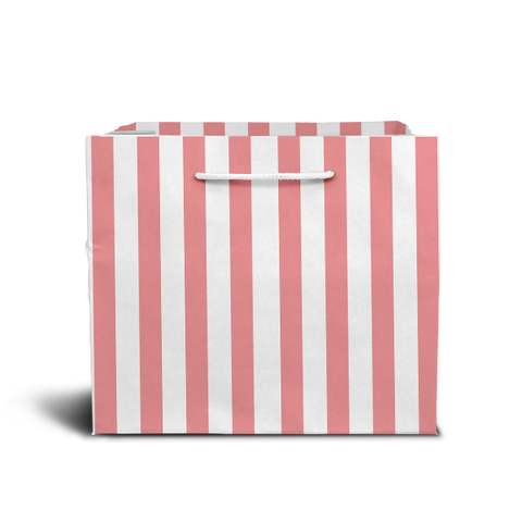 Paper Gift Bag